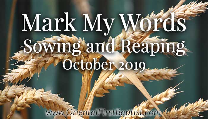 Mark My Words Article - Sowing and Reaping - October 2019