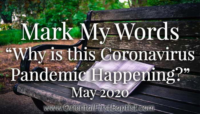 Mark My Words Article - Why is this Corona Virus Pandemic Happening - May 2020