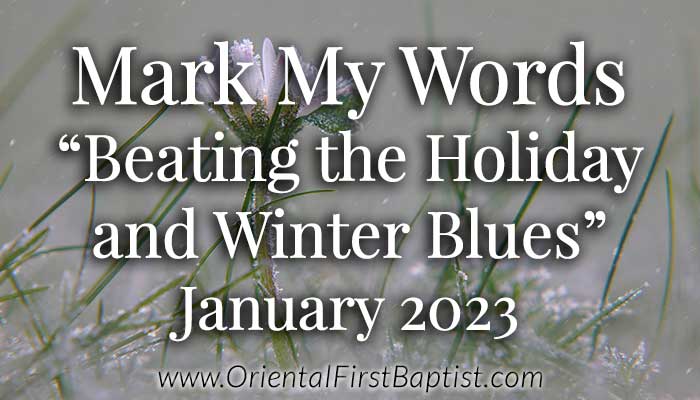 Mark My Words Article - Beating the Holiday and Winter Blues - January 2023